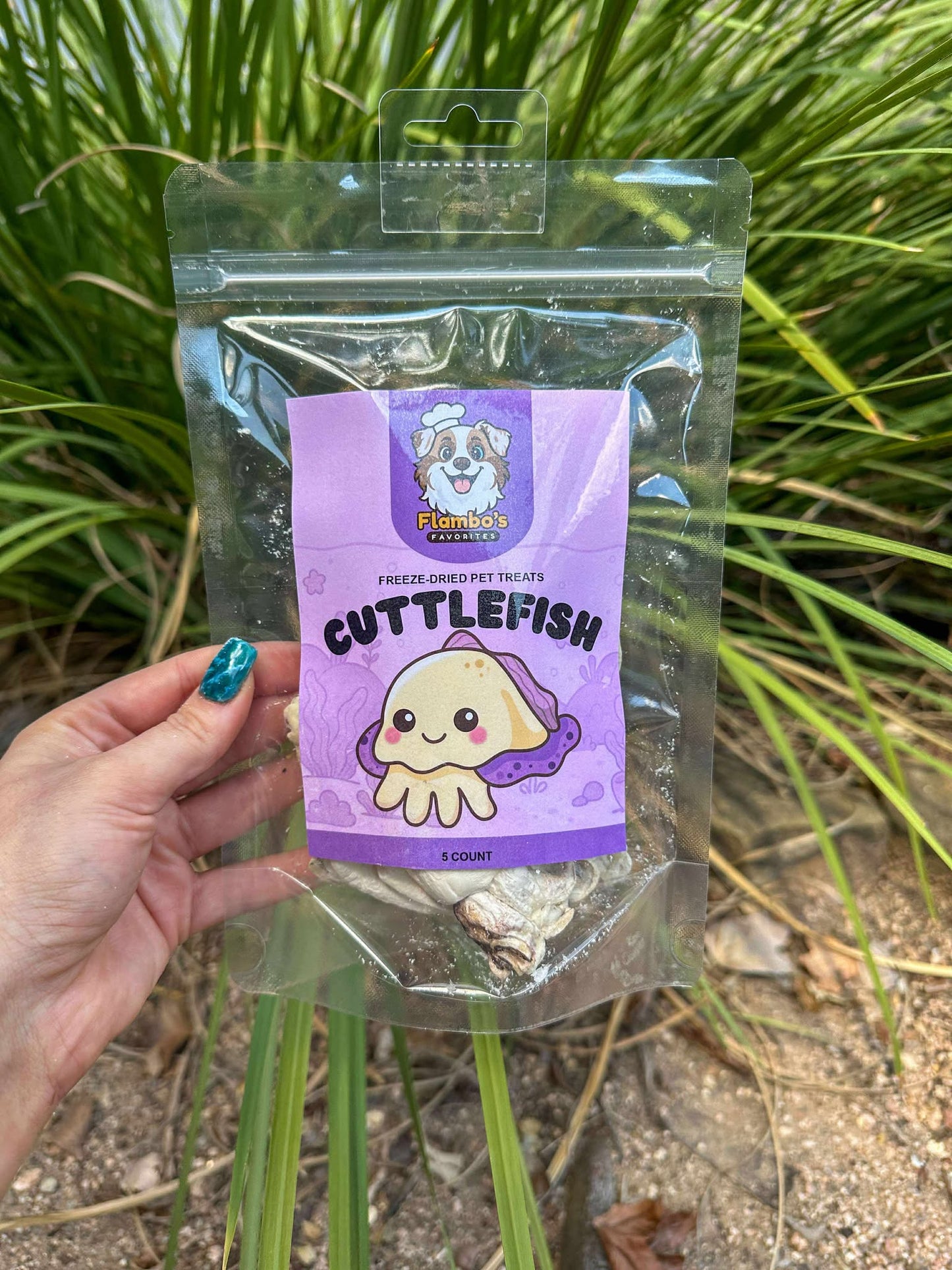 Freeze-Dried Cuttlefish