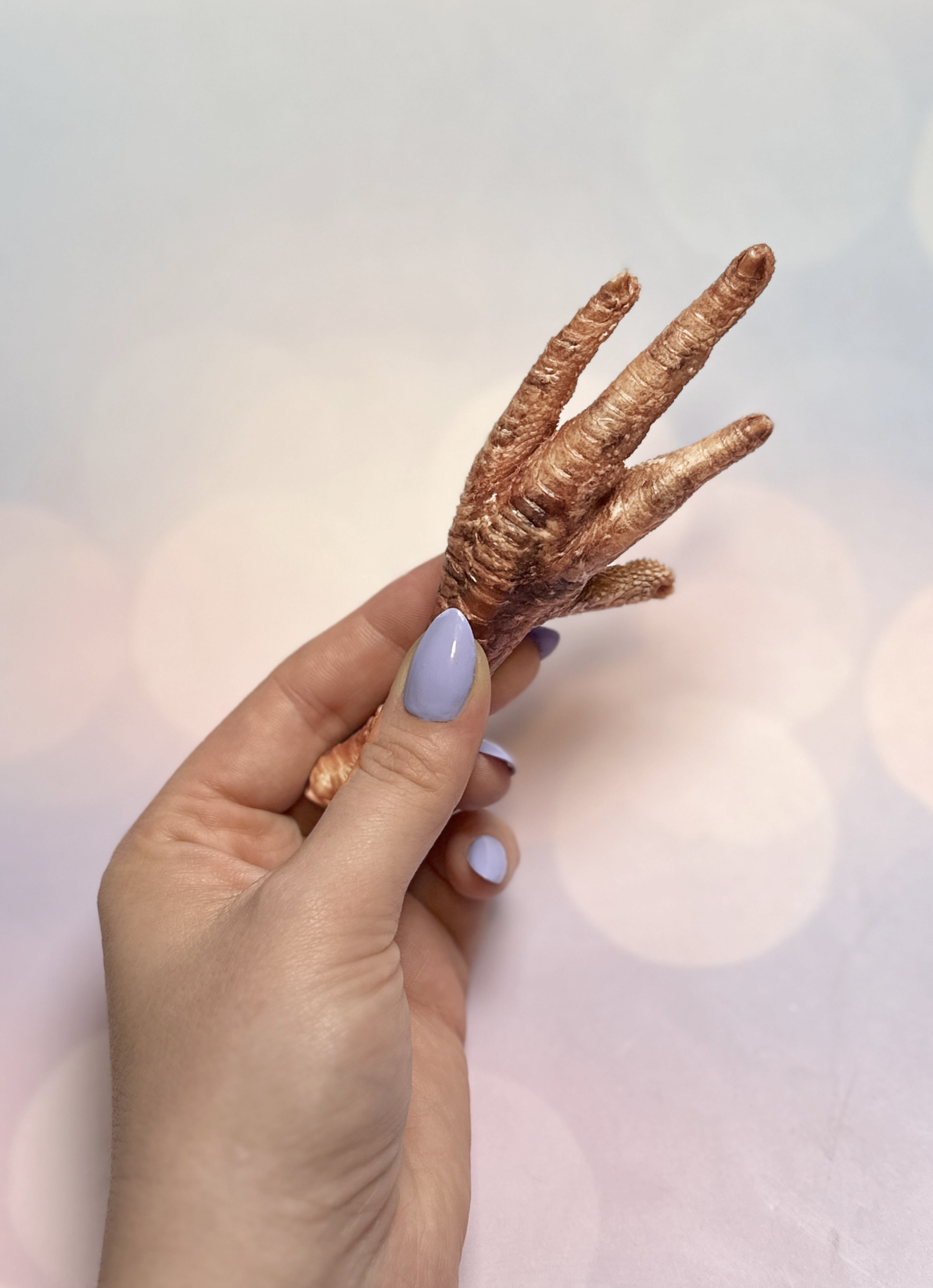 Freeze-Dried Chicken Feet