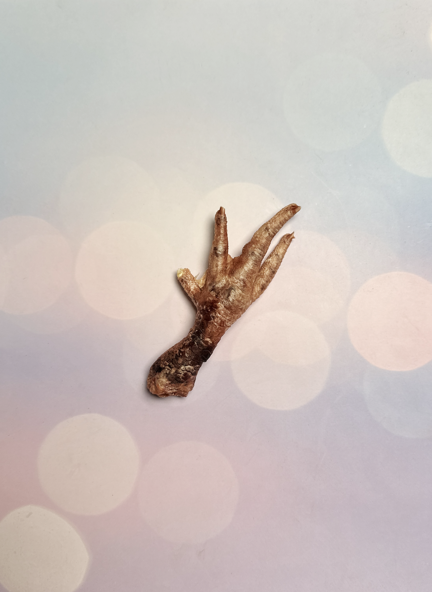 Freeze-Dried Chicken Feet