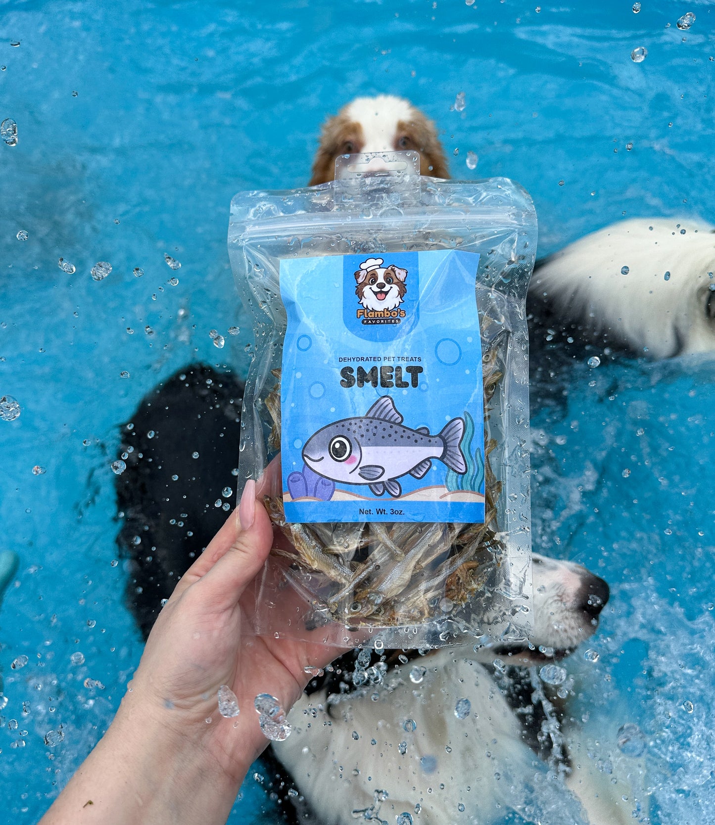 Dehydrated Smelt