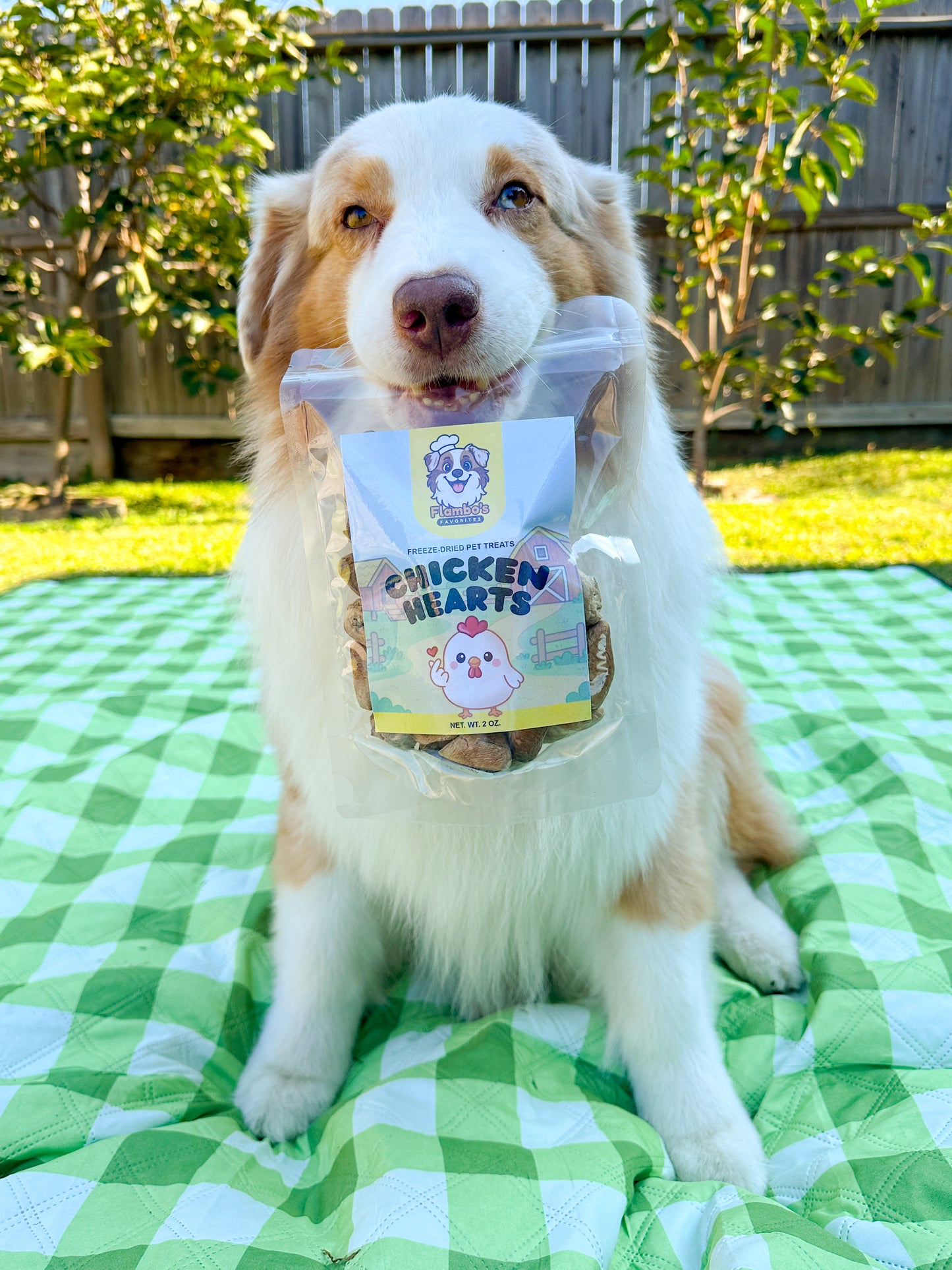 Freeze-Dried Chicken Hearts