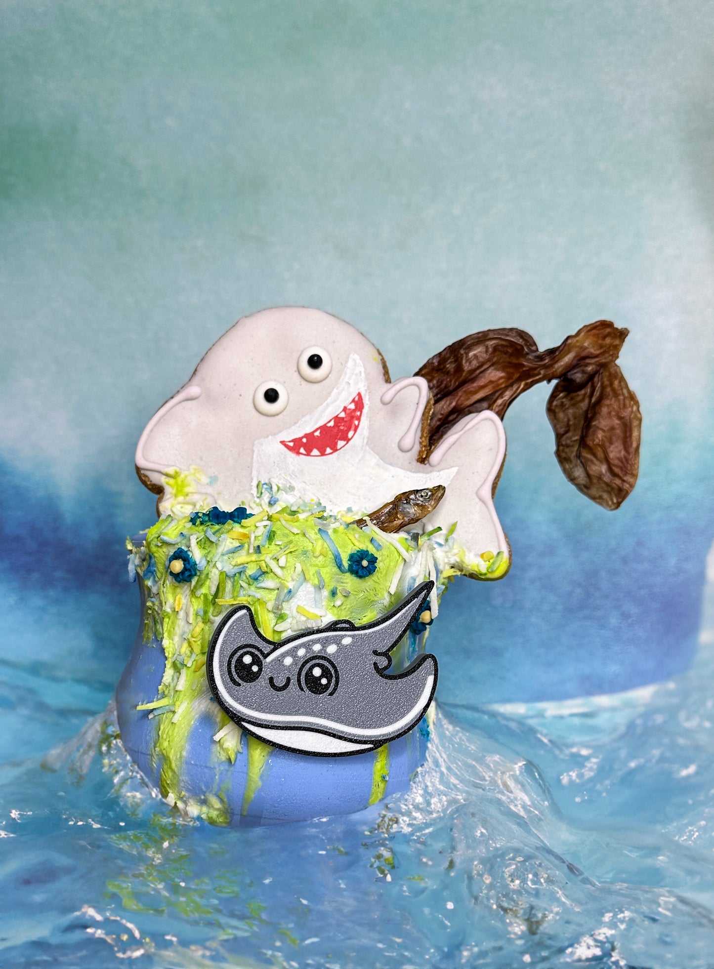 Dehydrated Baby Octopus
