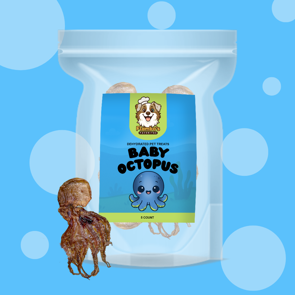Dehydrated Baby Octopus