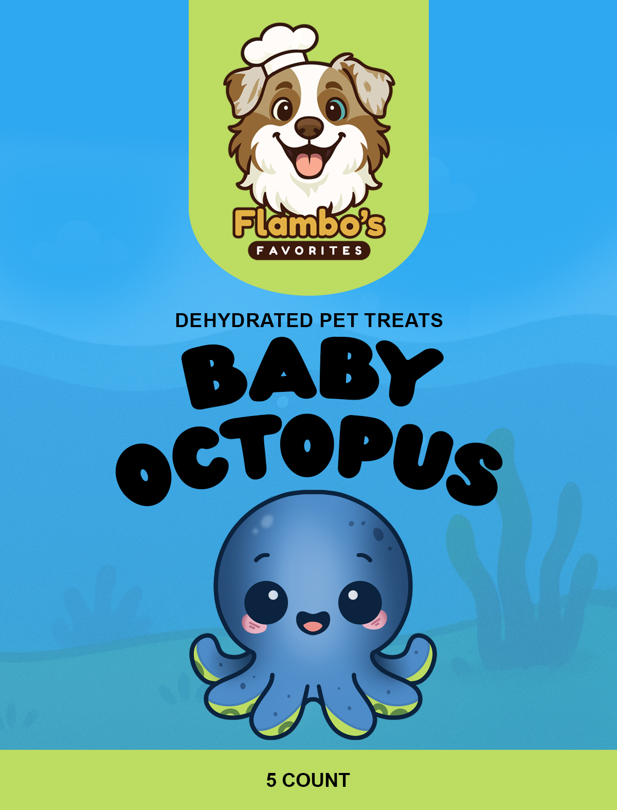 Dehydrated Baby Octopus