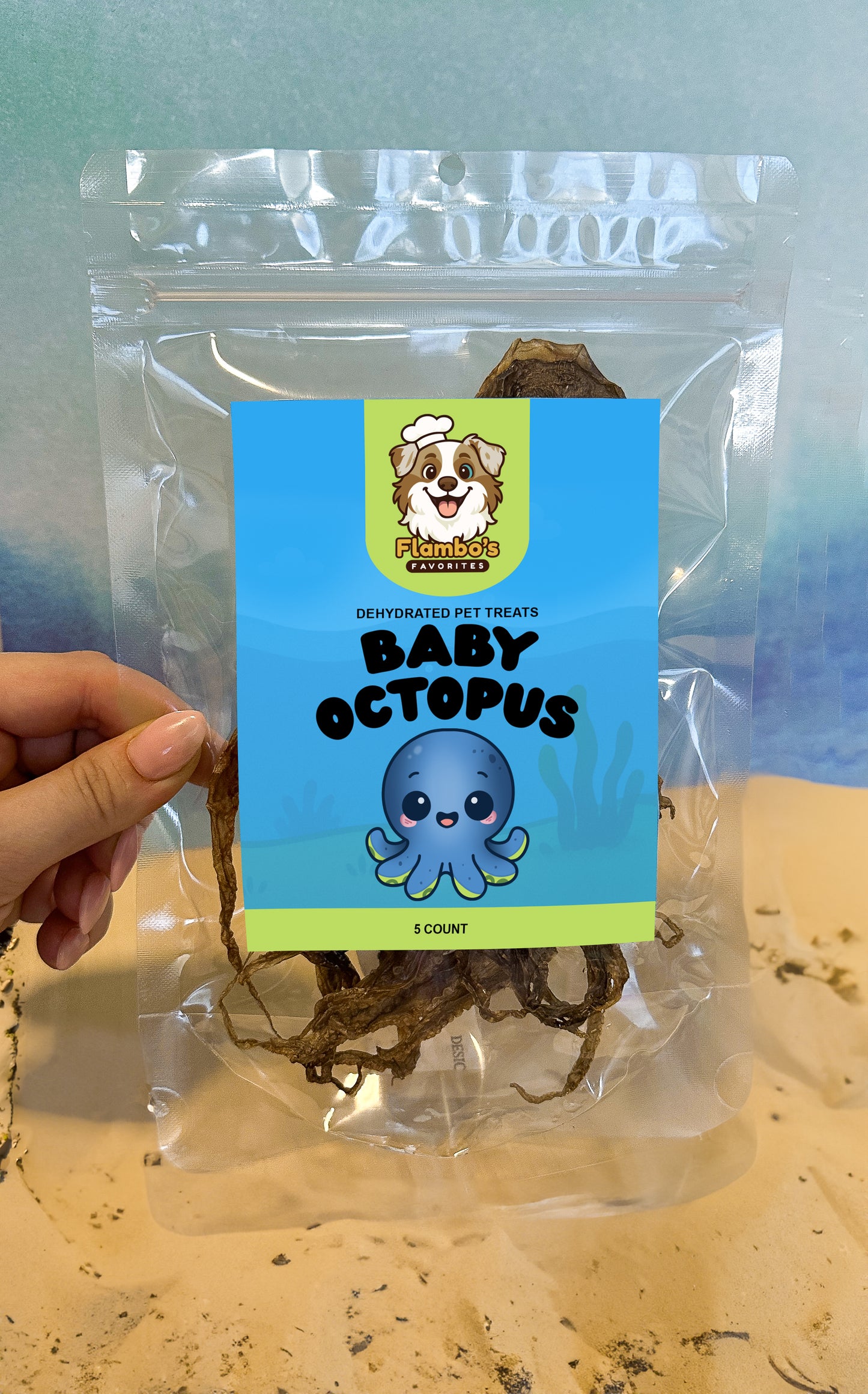 Dehydrated Baby Octopus