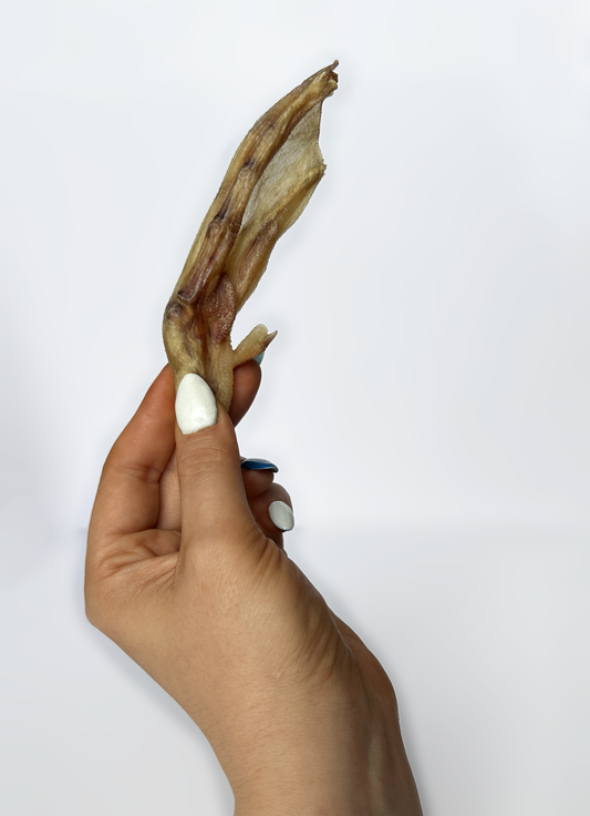 Dehydrated Duck Feet