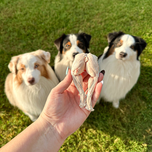 Freeze-Dried Frog Legs