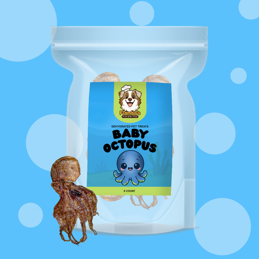Dehydrated Baby Octopus