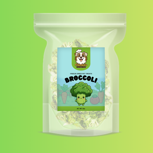 Freeze-Dried Broccoli